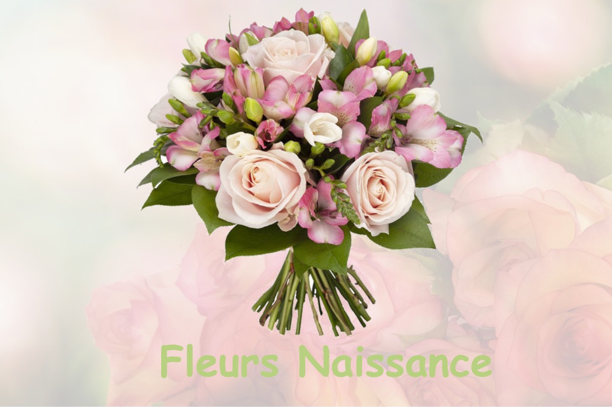 fleurs naissance SAINT-PARDOUX-LA-RIVIERE