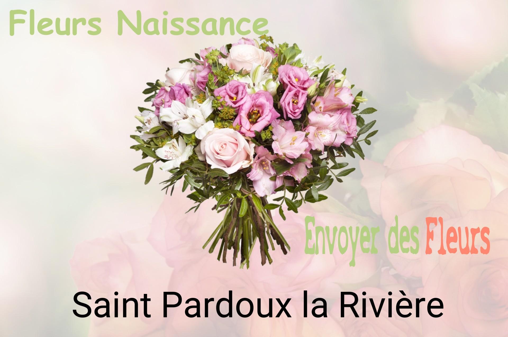 Bouquet de fleurs de naissance livré à Saint-Pardoux-la-Rivière
